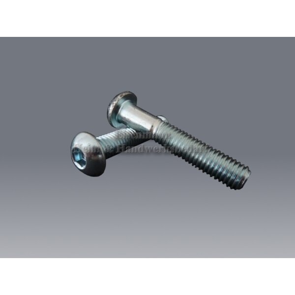 Linsenkopfschrauben M6 x 45 mm ISO 7380 010.9 verzinkt