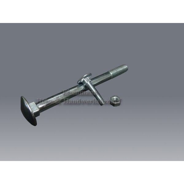 Schloßschrauben M 8 x 20 mm DIN 603 mit Mutter