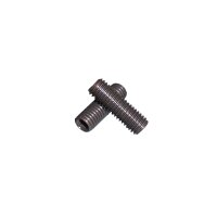 Gewindestifte M3 x 4 mm Stahl Blank DIN 913
